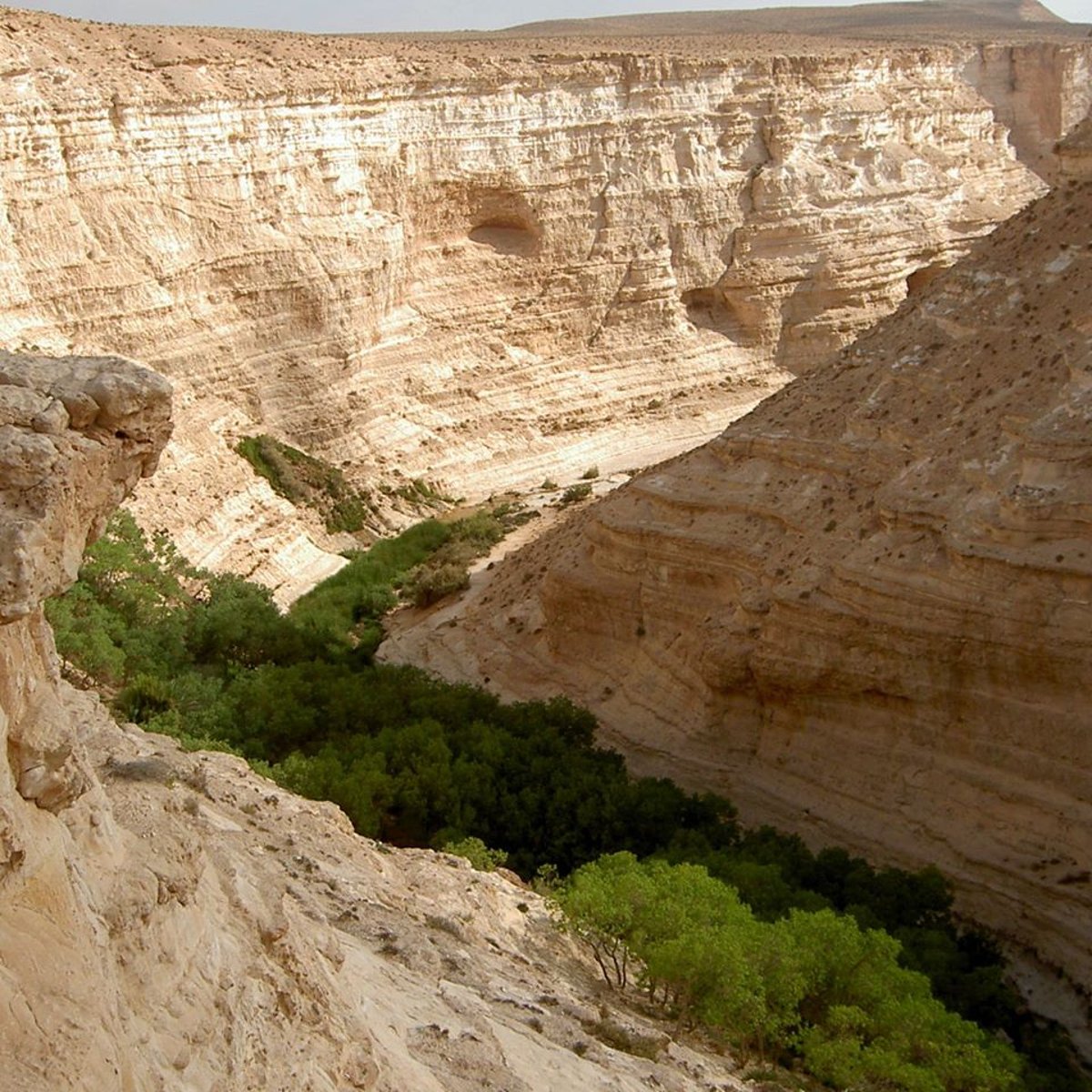 קניונים רמים אל מול נקיקי מים. עין עבדת.