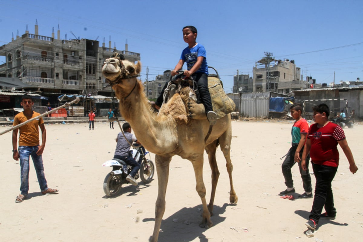 המשחק של ילדי עזה: רובים • צפו בתמונות