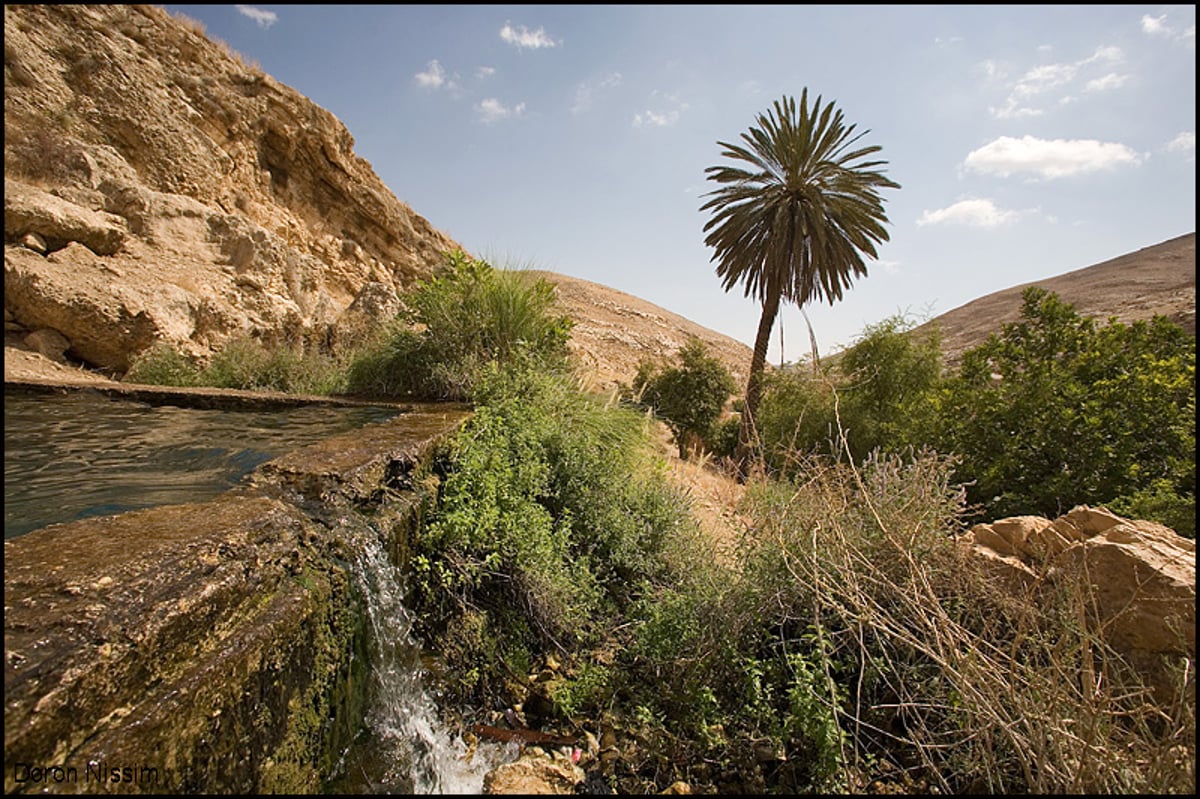 נופים של עין מדבר, קרוב לירושלים.