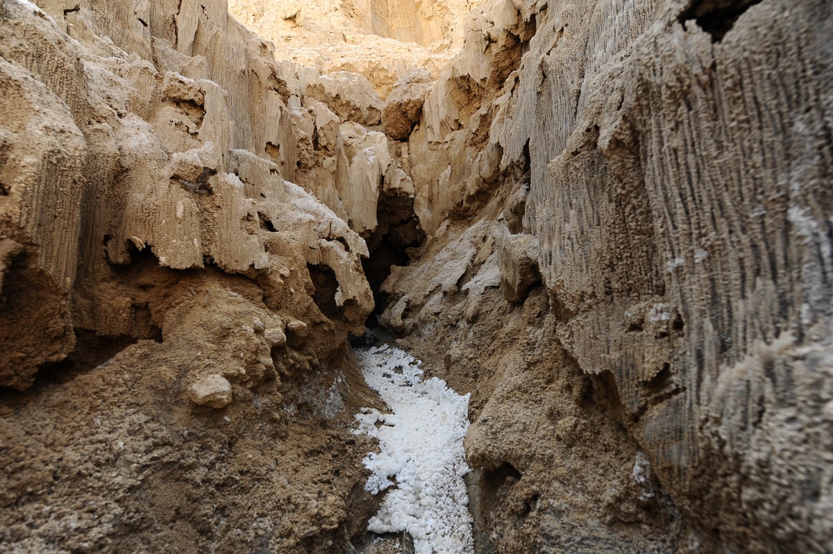 מתייבש והולך: תיעוד עצוב מים המלח