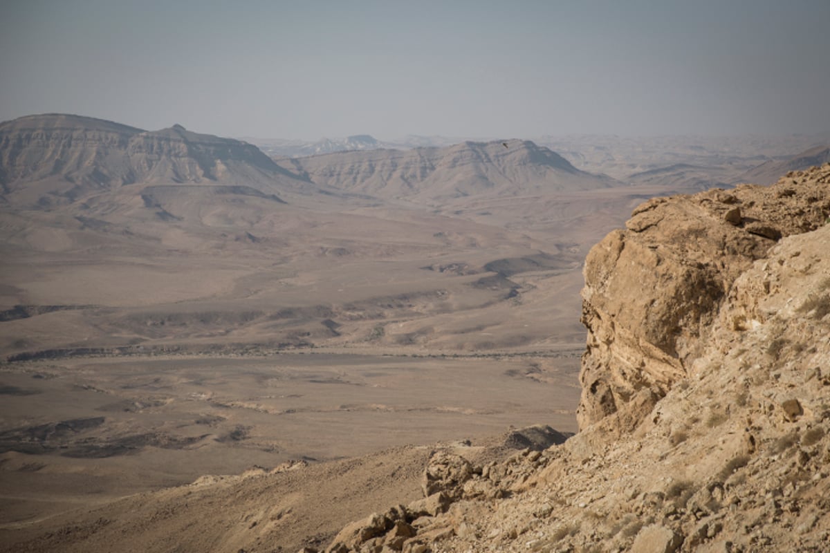 מדבר יהודה דרך עדשת המצלמה • צפו