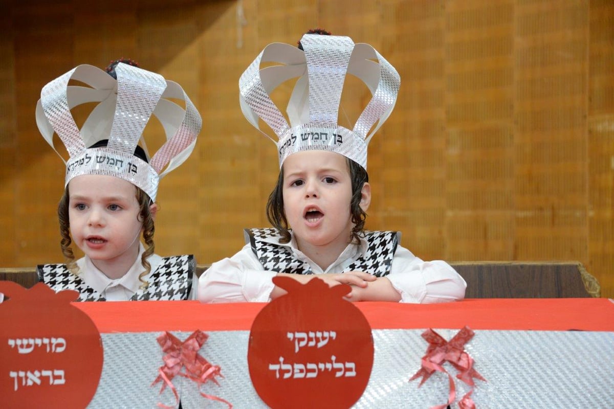 מסיבת חומש לילדי בעלזא בחיפה | גלריה