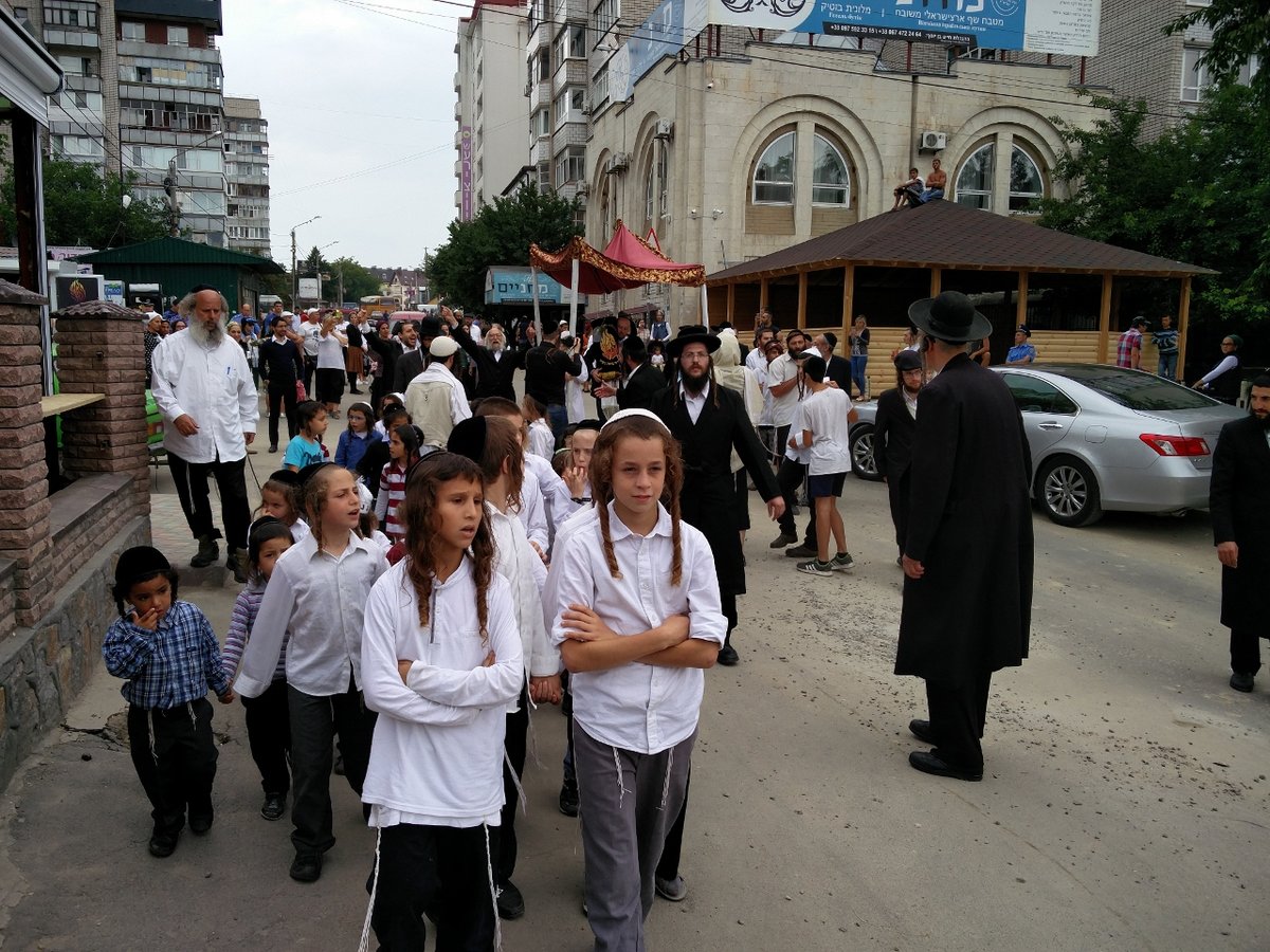 תיעוד ענק: כך מכניסים ספר תורה באומן