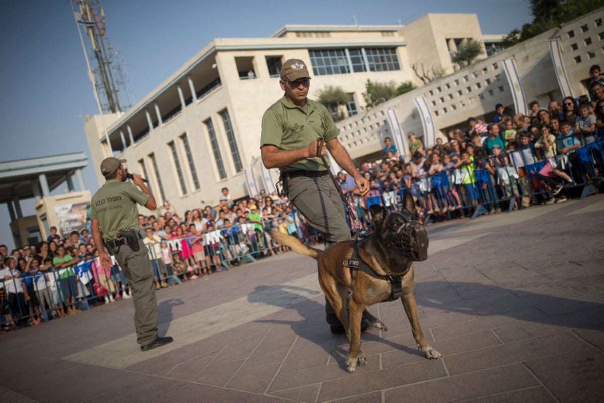 שוטרים וחרדים: ההצגה של המשטרה • צפו