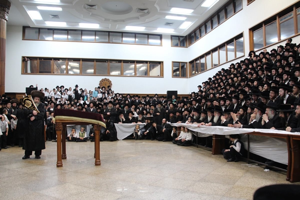 תיעוד: רחמסטריווקא חגגה עם ספר התורה החדש