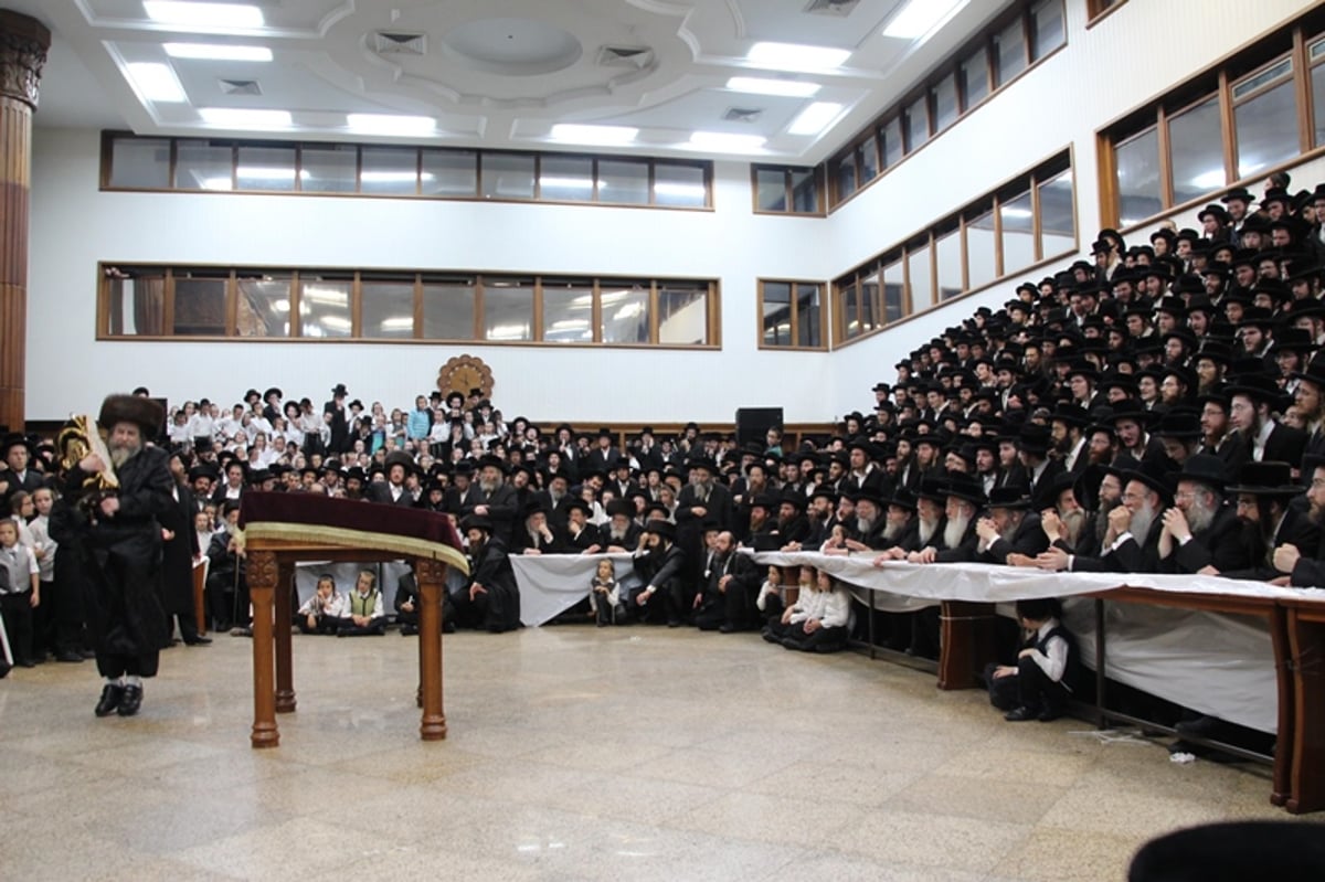 תיעוד: רחמסטריווקא חגגה עם ספר התורה החדש