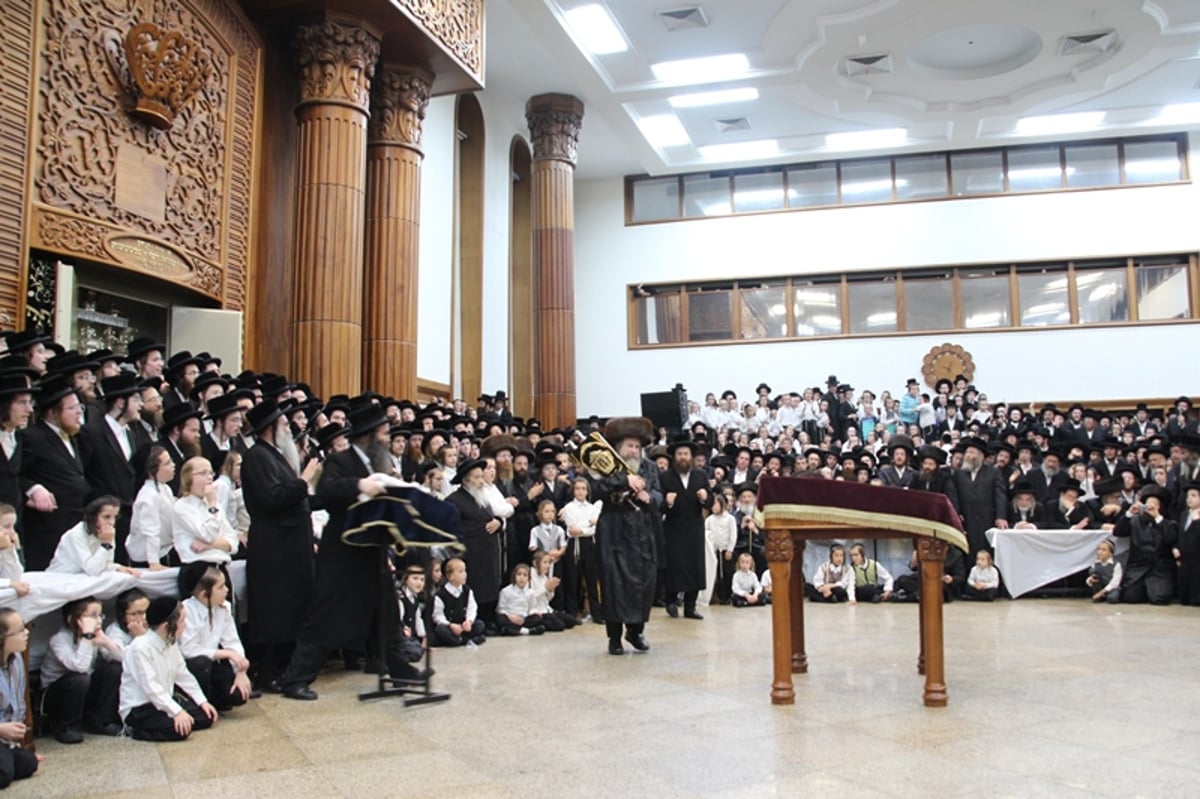 תיעוד: רחמסטריווקא חגגה עם ספר התורה החדש