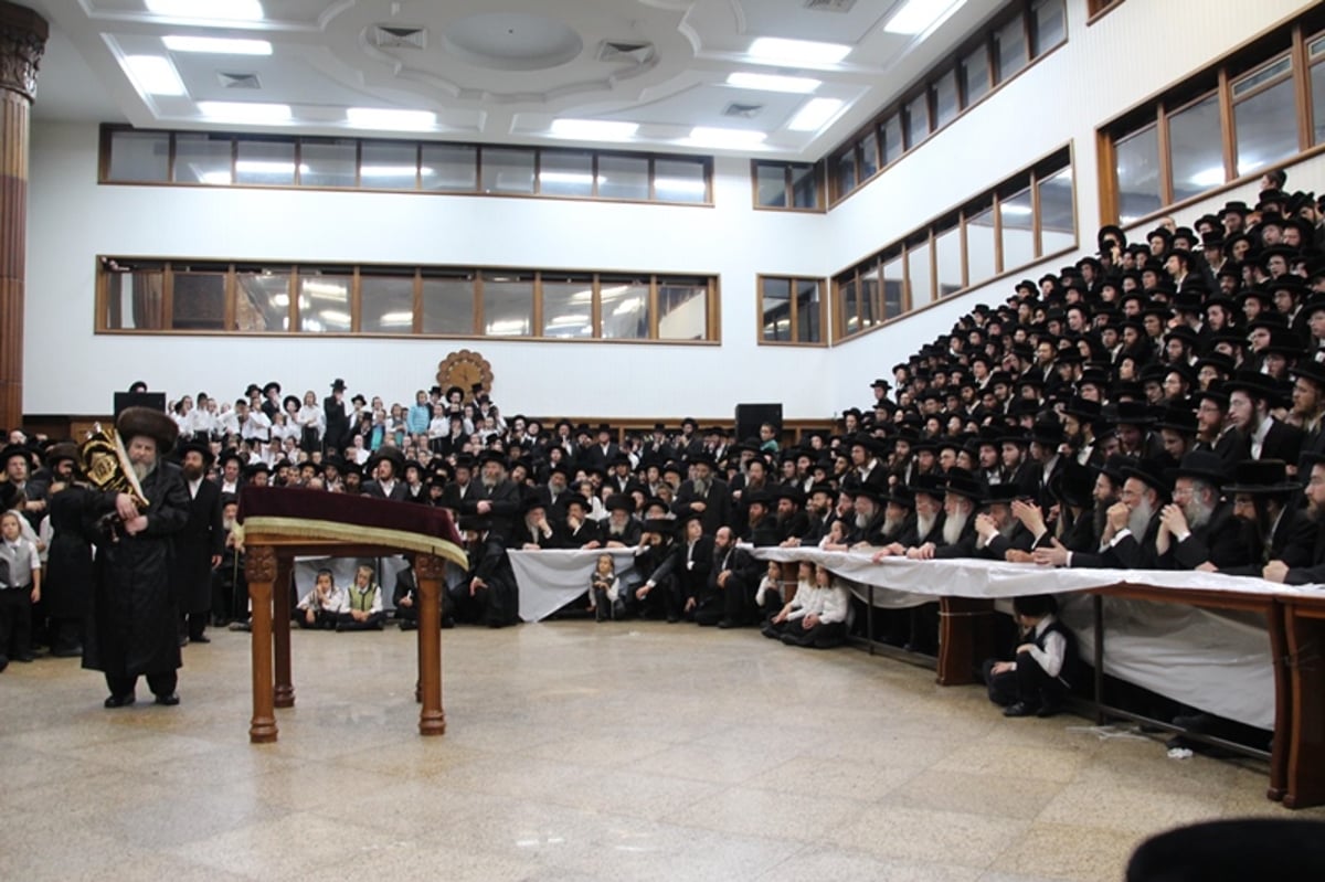 תיעוד: רחמסטריווקא חגגה עם ספר התורה החדש