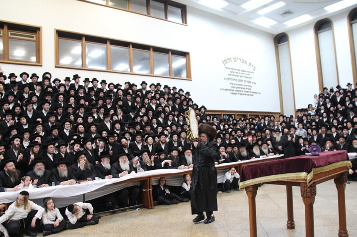 תיעוד: רחמסטריווקא חגגה עם ספר התורה החדש