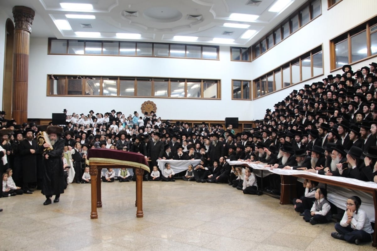 תיעוד: רחמסטריווקא חגגה עם ספר התורה החדש