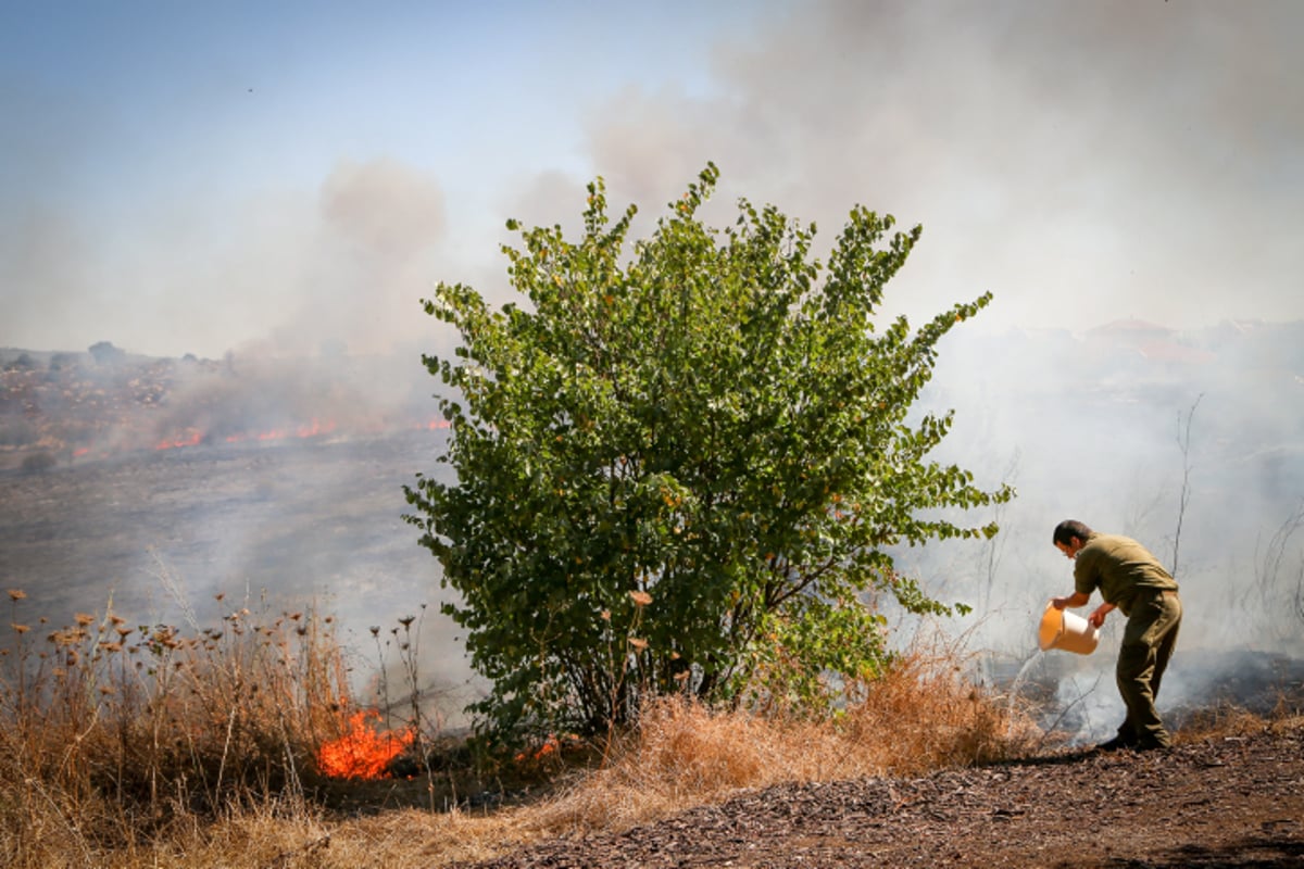 תיעוד: שריפה ליד הבתים ברמת בית שמש