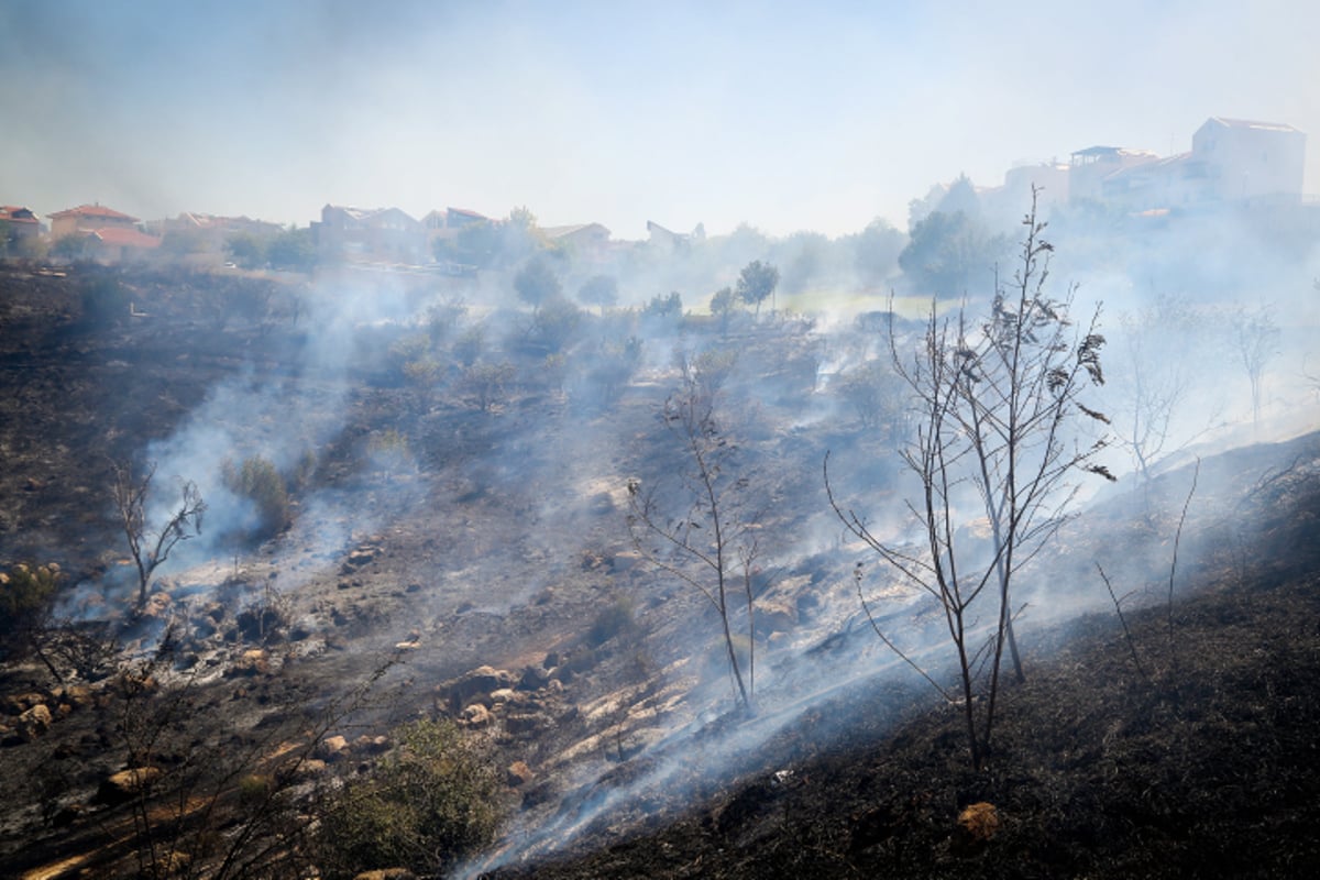 תיעוד: שריפה ליד הבתים ברמת בית שמש