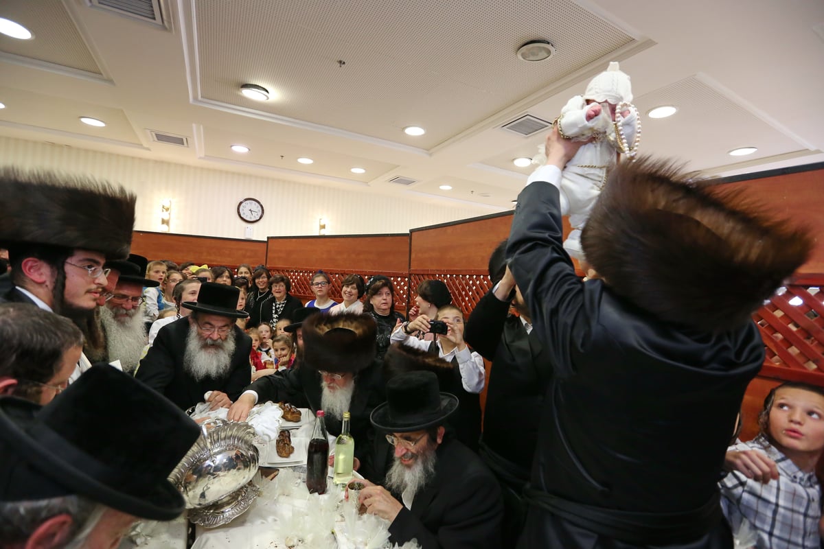 תיעוד: פדיון הבן לנכד הגאון רבי משה פריד