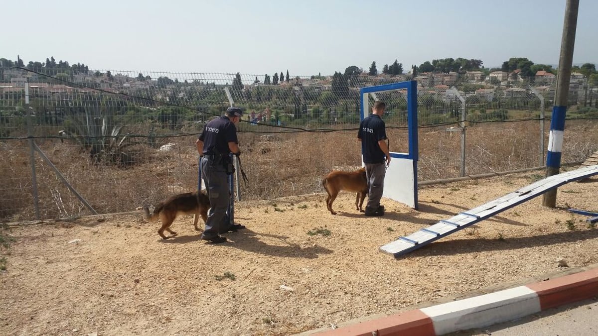 עשרה כלבים החליפו את הדרכון האירופאי בתעודת שוטר