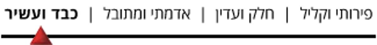 איזה יין הכי מתאים לסעודות בעונת החגים?