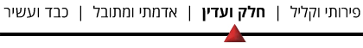 איזה יין הכי מתאים לסעודות בעונת החגים?