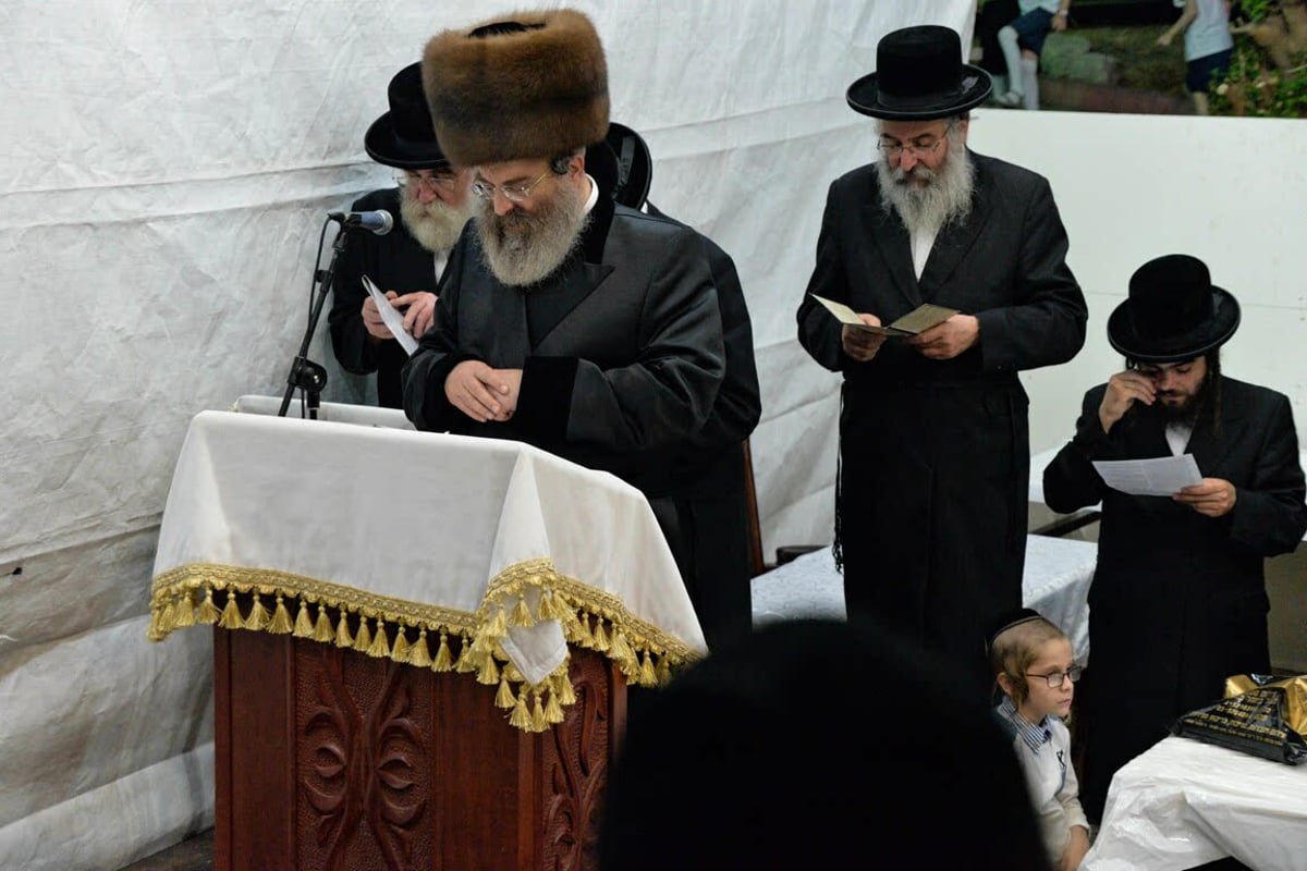 סאדיגורה השליכה את העוונות לבריכה. תיעוד