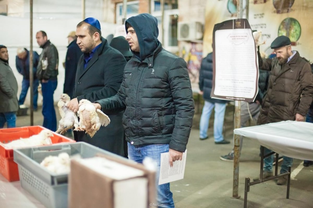 הכפרות של מוסקבה באשמורת הבוקר. צפו