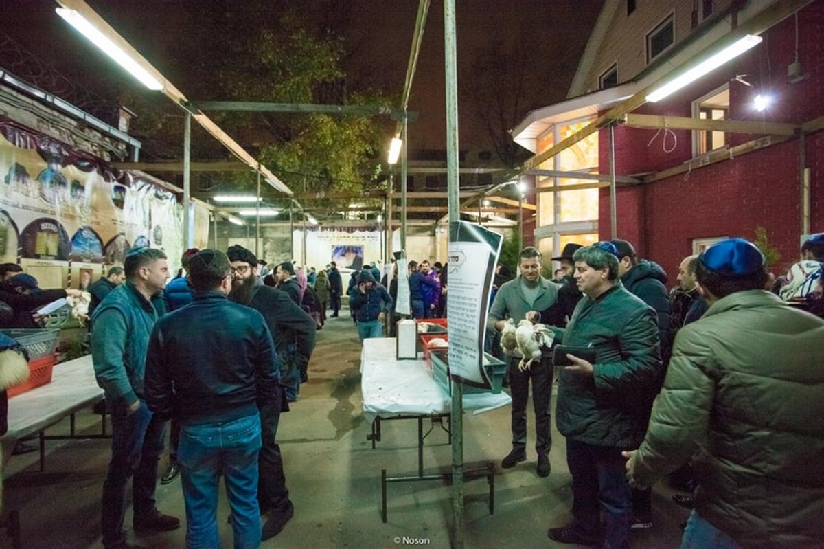 הכפרות של מוסקבה באשמורת הבוקר. צפו