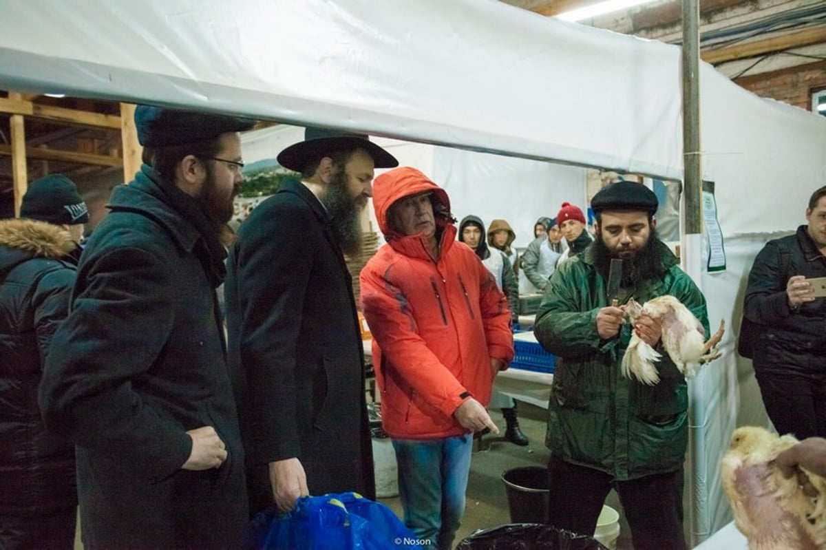 הכפרות של מוסקבה באשמורת הבוקר. צפו