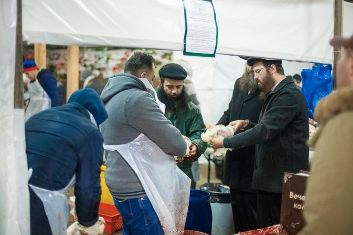 הכפרות של מוסקבה באשמורת הבוקר. צפו