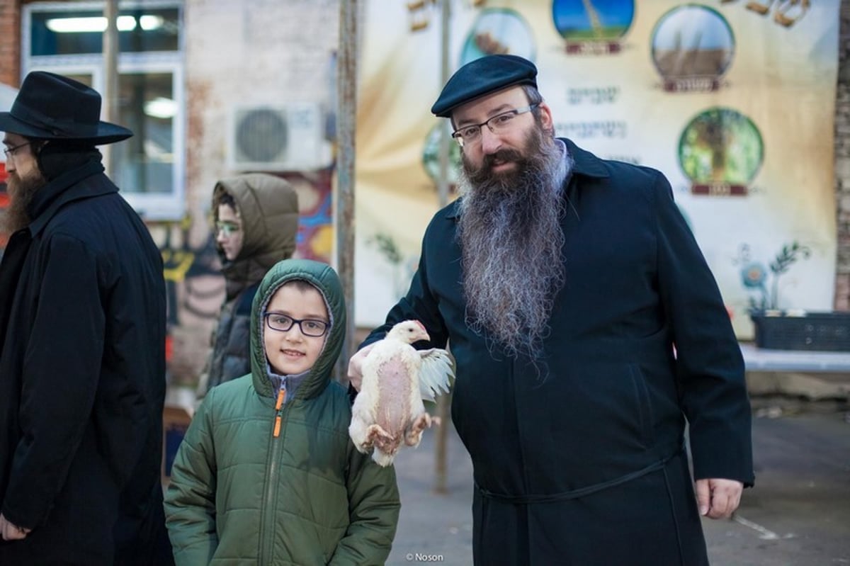 הכפרות של מוסקבה באשמורת הבוקר. צפו