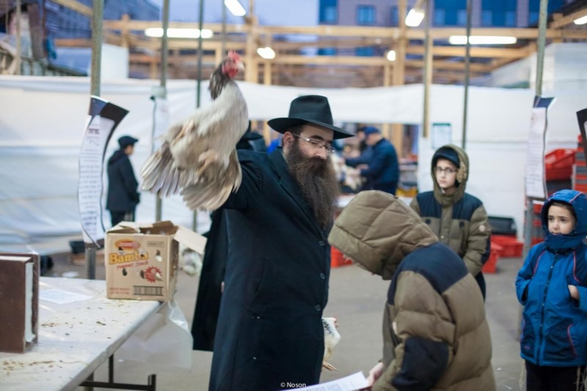 הכפרות של מוסקבה באשמורת הבוקר. צפו