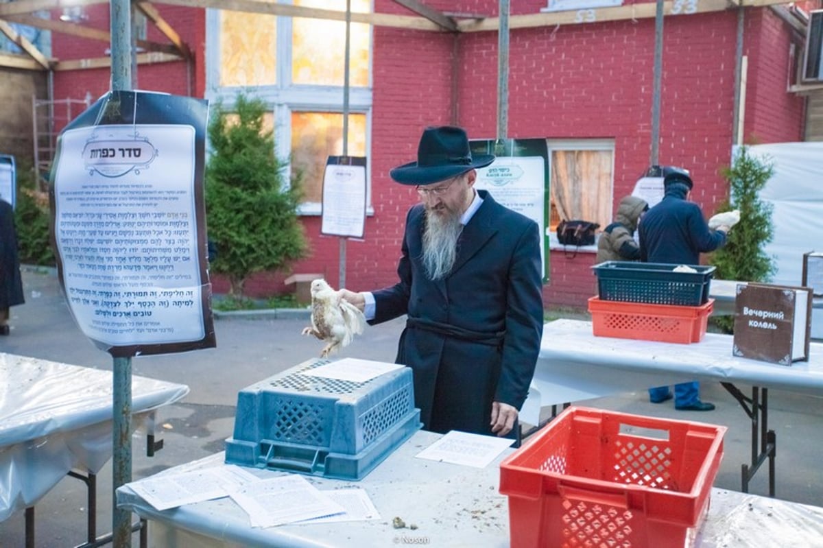 הכפרות של מוסקבה באשמורת הבוקר. צפו