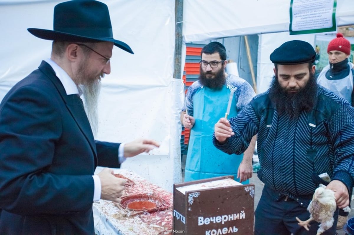 הכפרות של מוסקבה באשמורת הבוקר. צפו