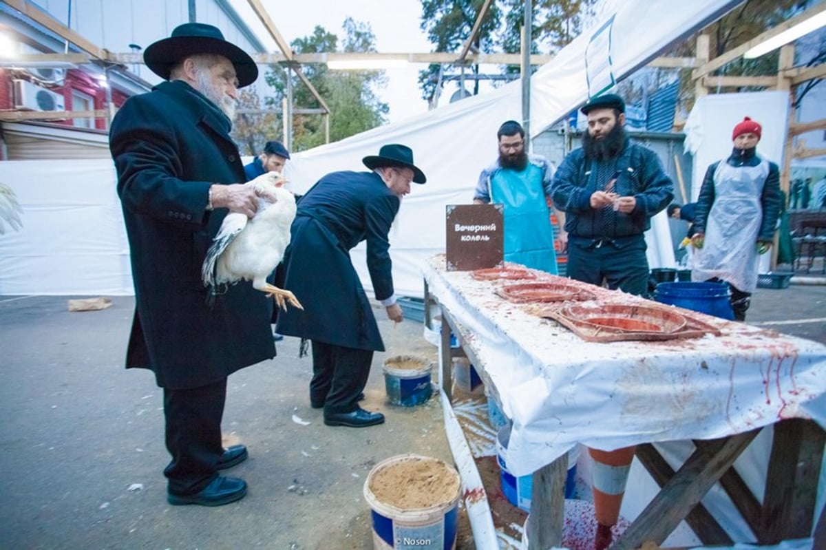 הכפרות של מוסקבה באשמורת הבוקר. צפו