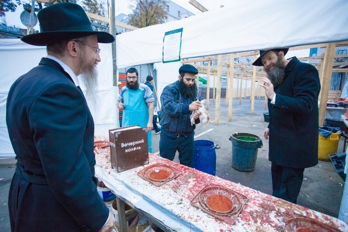 הכפרות של מוסקבה באשמורת הבוקר. צפו