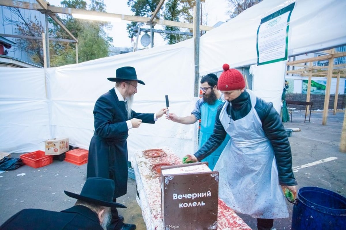 הכפרות של מוסקבה באשמורת הבוקר. צפו