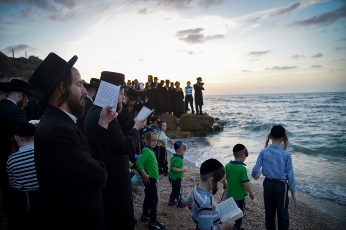 תיעוד: התשליך של קרעטשניף בחוף הים