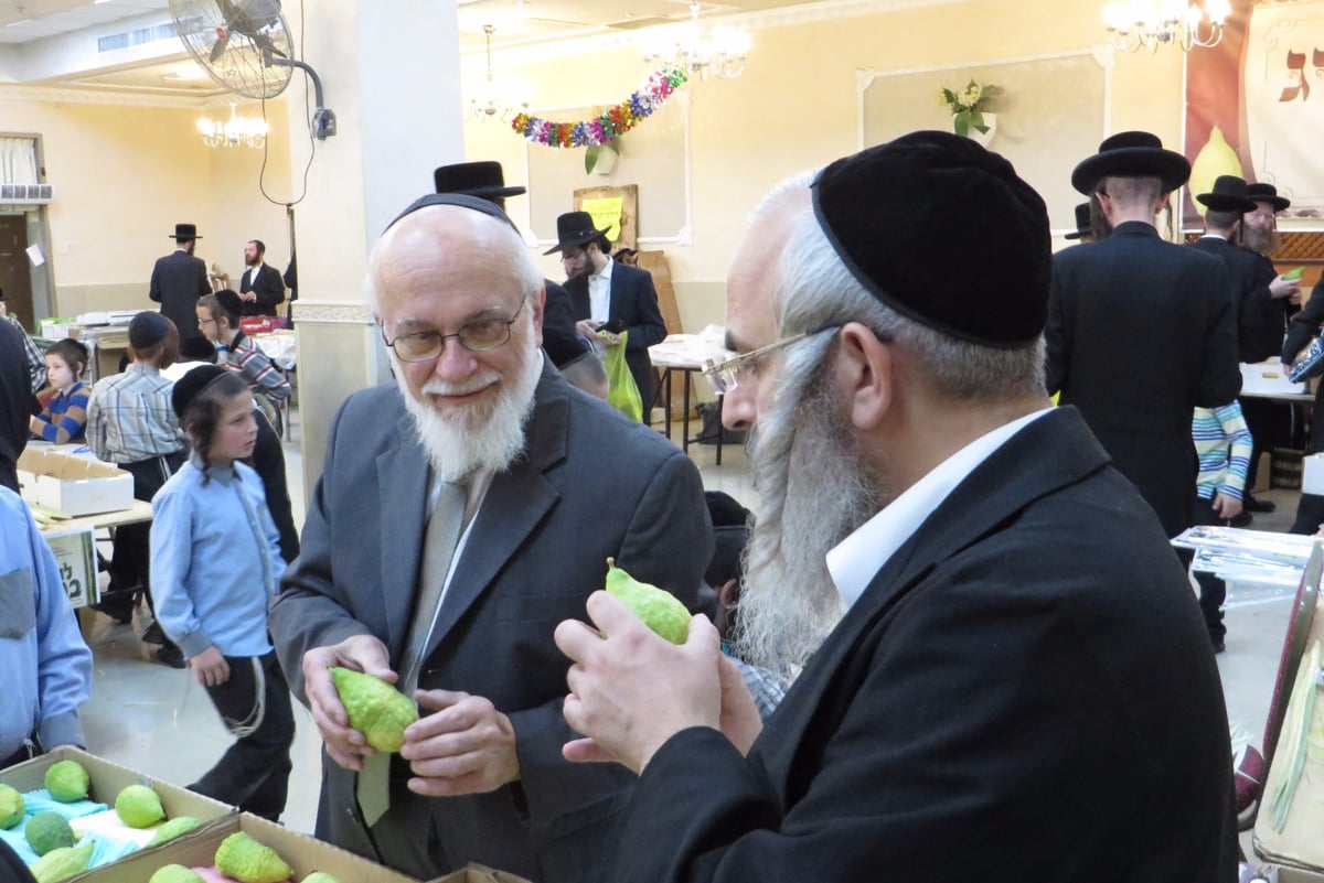 תיעוד: שוק ארבעת המינים בבית שמש