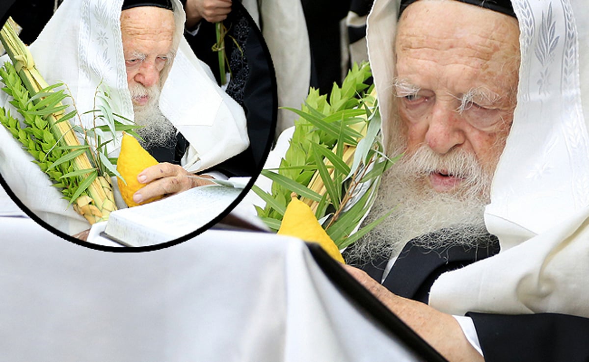 מרן רבי חיים קנייבסקי בנטילת ארבעת המינים