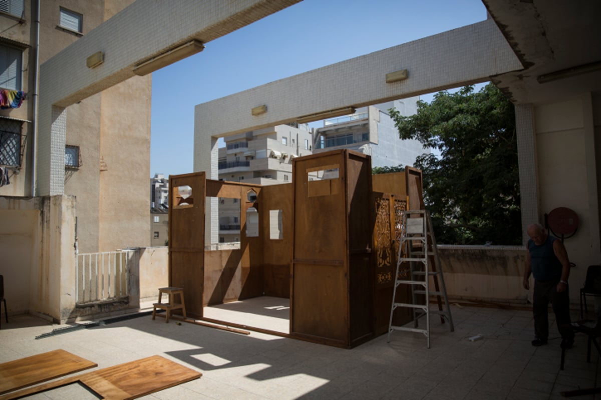 הסוכה המרהיבה של מאיר פרוש | גלריה