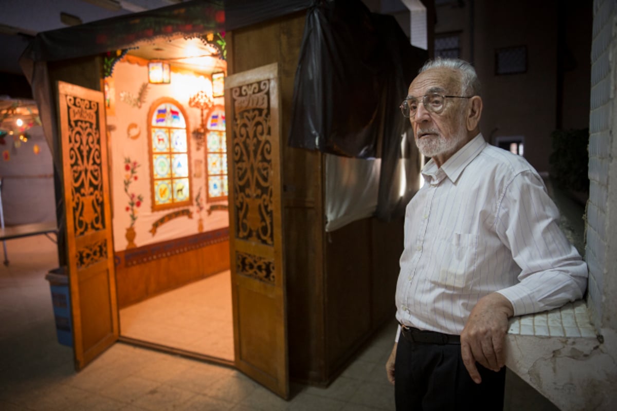 הסוכה המרהיבה של מאיר פרוש | גלריה