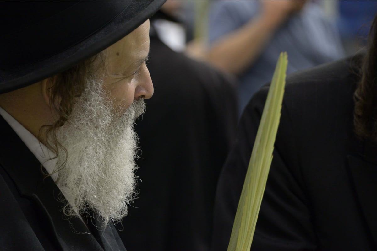 גלריה: מראות שוק ארבעת המינים בבני ברק