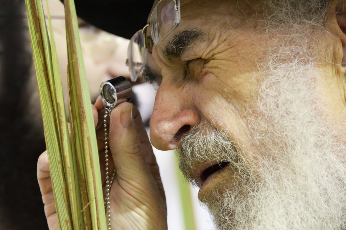 גלריה: מראות שוק ארבעת המינים בבני ברק