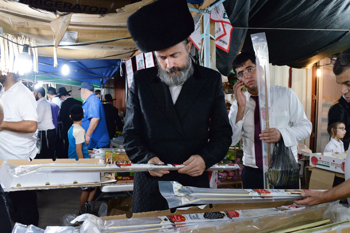 גלריה: מראות שוק ארבעת המינים בבני ברק