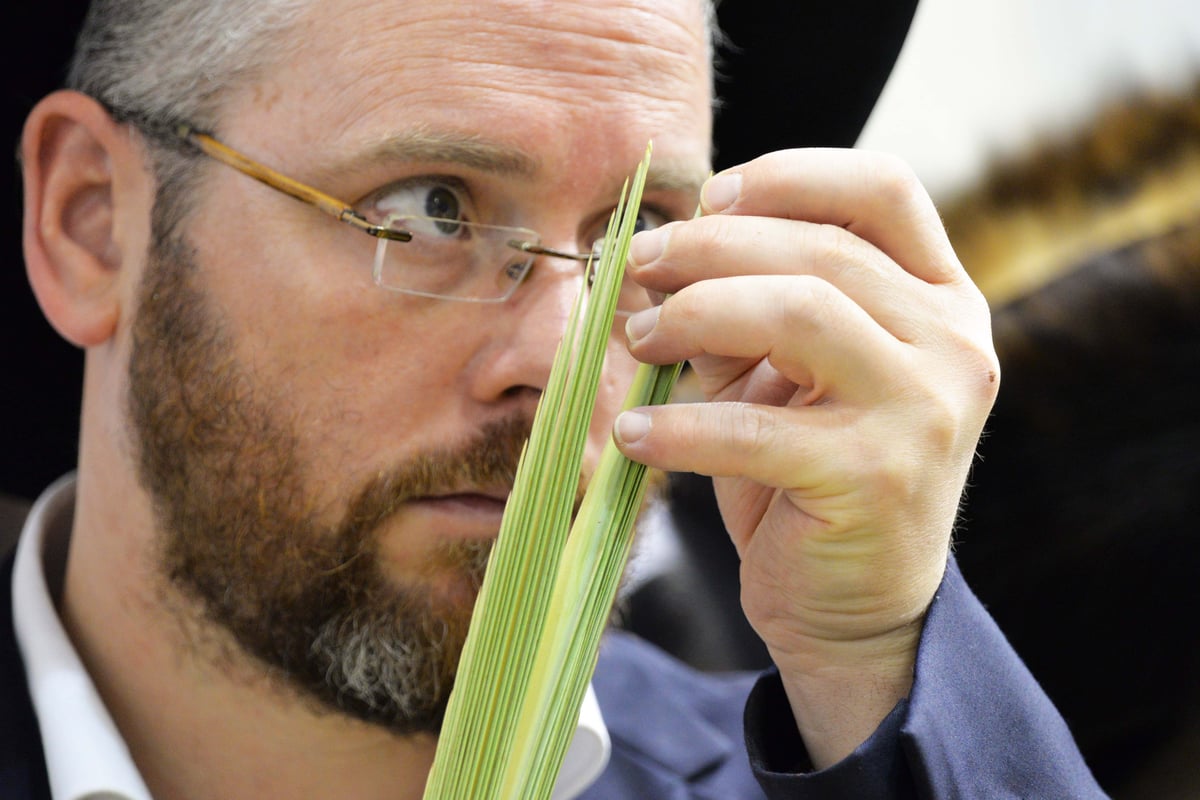 גלריה: מראות שוק ארבעת המינים בבני ברק