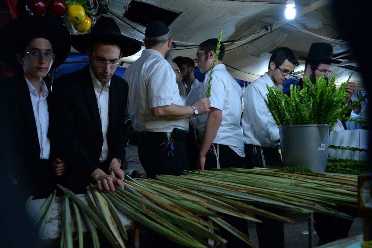 גלריה: מראות שוק ארבעת המינים בבני ברק