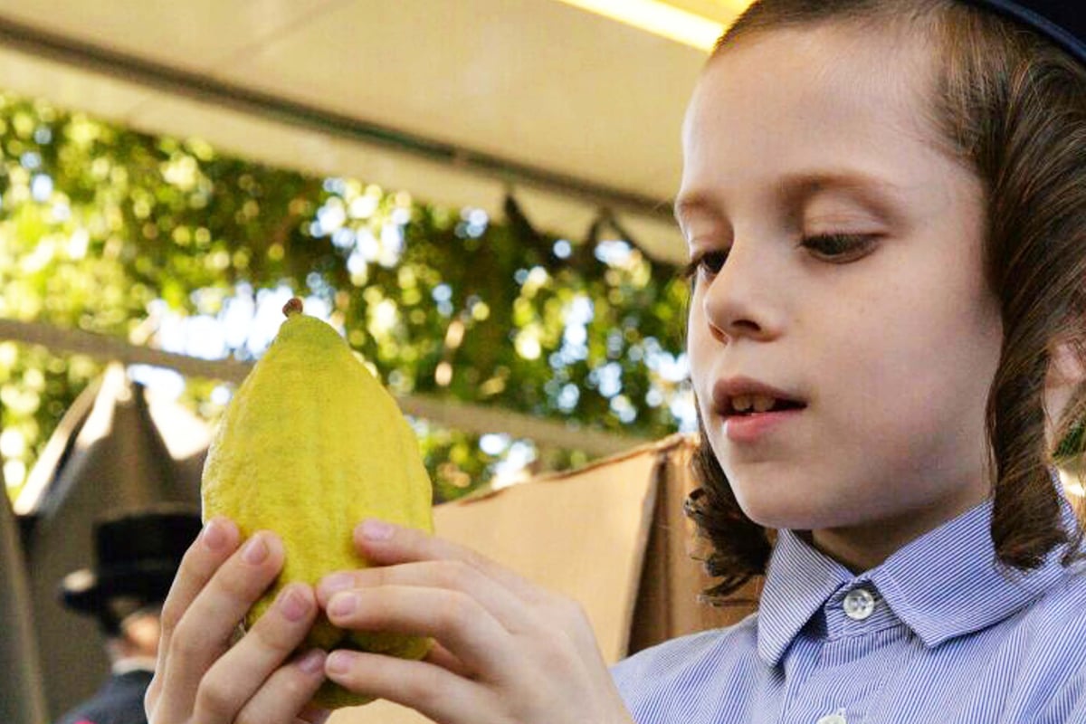 גלריה: מראות שוק ארבעת המינים בבני ברק