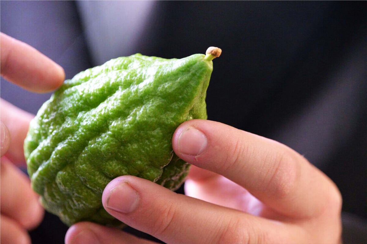 גלריה: מראות שוק ארבעת המינים בבני ברק