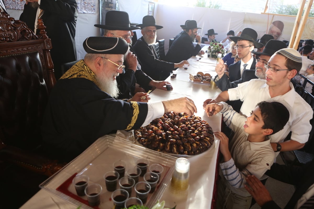 אלפים ב"הקבלת פני רבו" לגר"ש עמאר