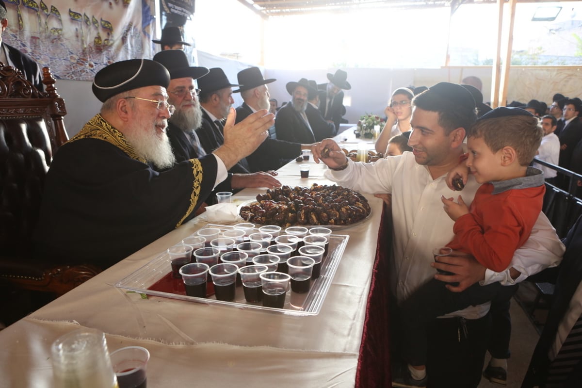 אלפים ב"הקבלת פני רבו" לגר"ש עמאר