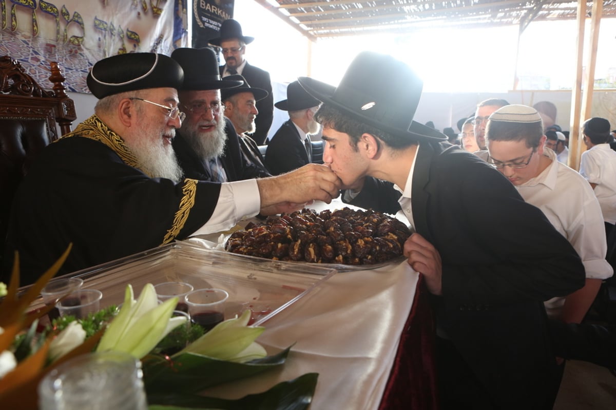 אלפים ב"הקבלת פני רבו" לגר"ש עמאר