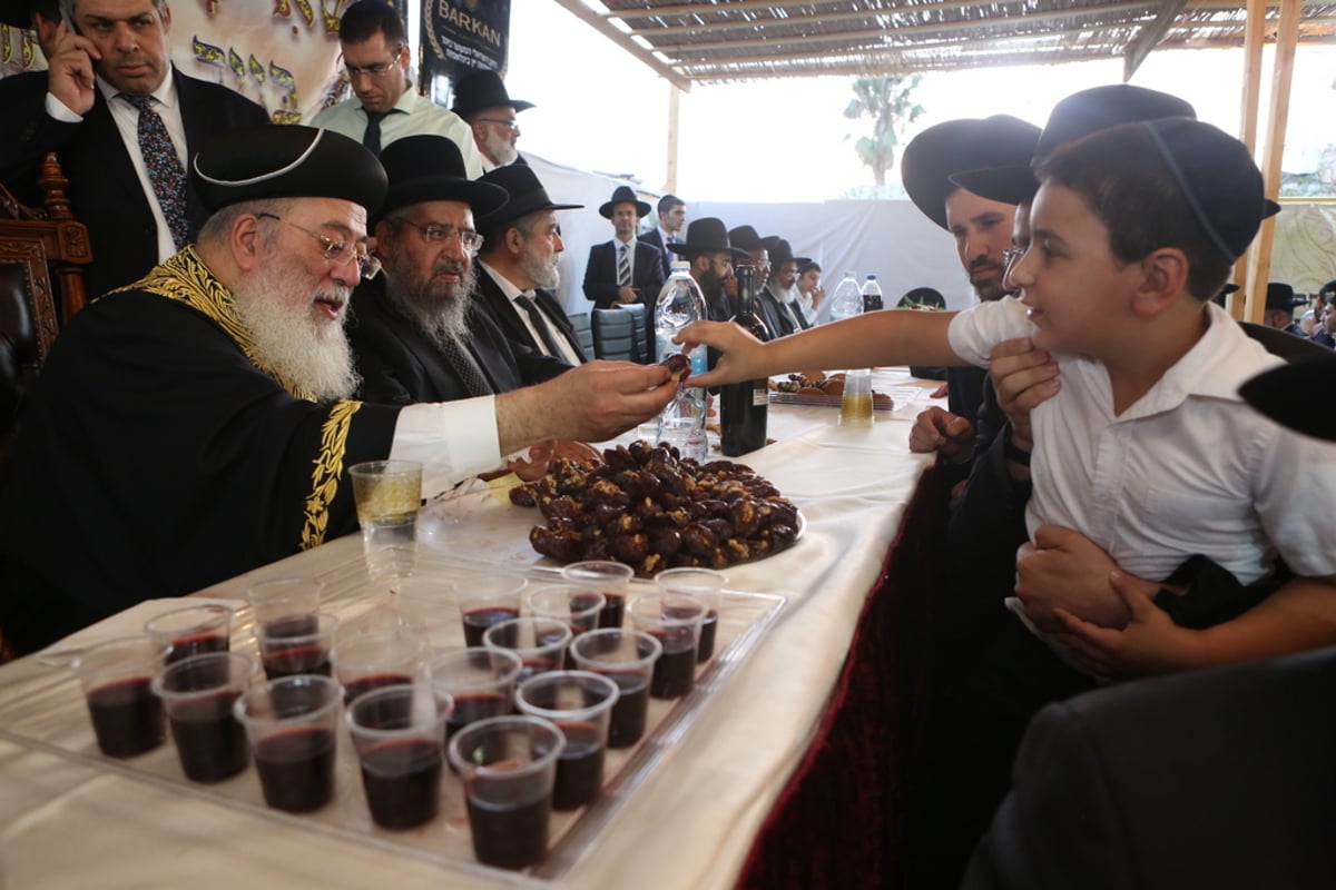 אלפים ב"הקבלת פני רבו" לגר"ש עמאר