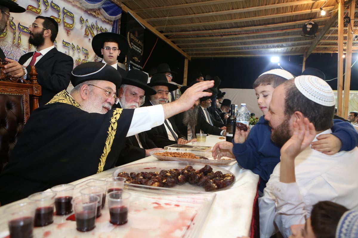 אלפים ב"הקבלת פני רבו" לגר"ש עמאר