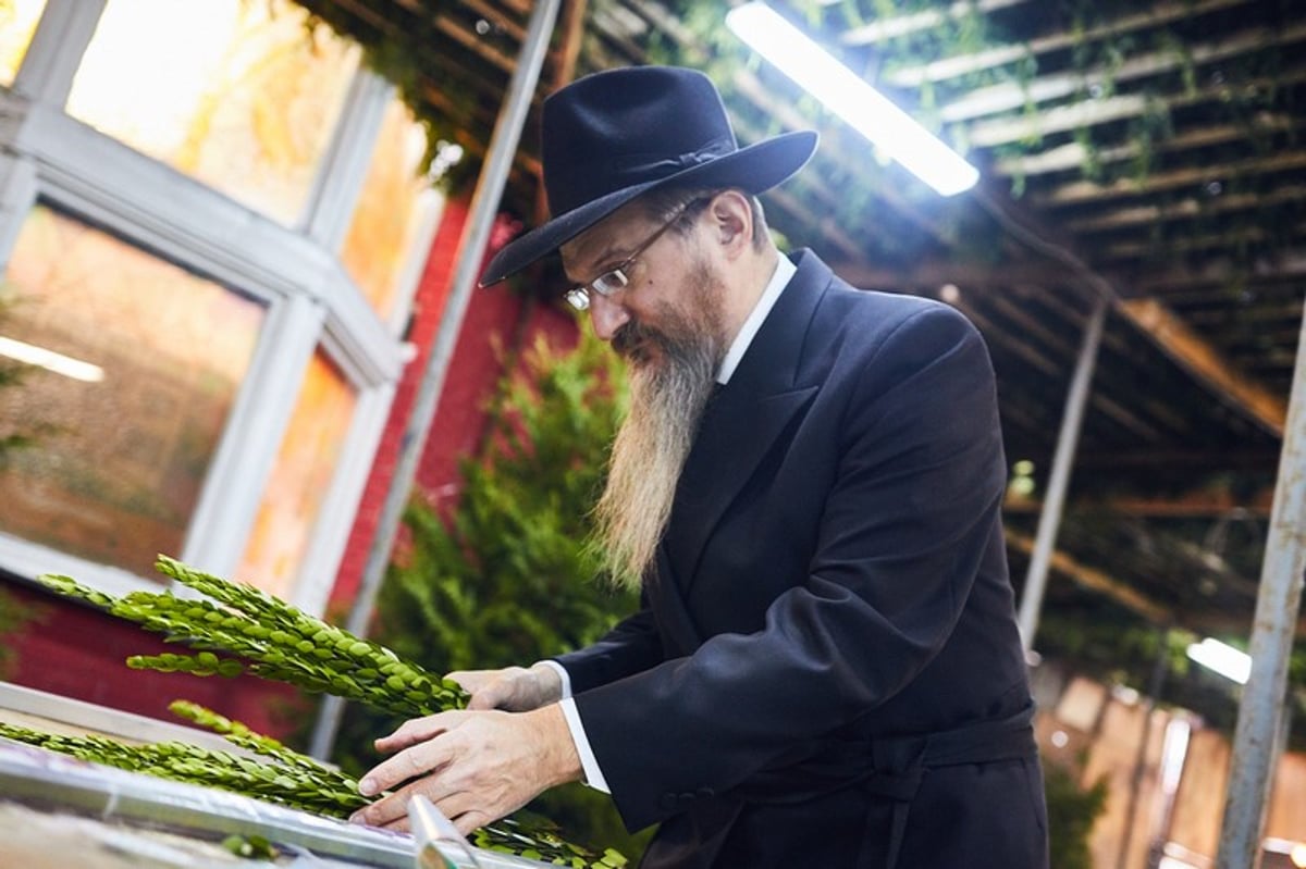 סוכות בסוכה הגדולה ביותר באירופה | תיעוד